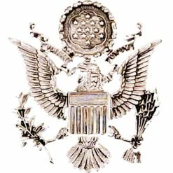 Best reviews of 🧨 Other Brands Air Force Cap Device, Officer Female ⌛