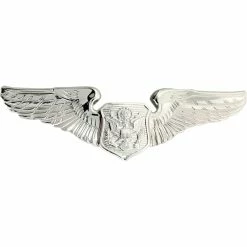 Best Pirce ⭐ Other Brands Air Force Basic Officer Aircrew Badge, Mirror Finish, Regular Size 🥰