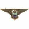 New 🥰 Ira Green, Inc Air Force Officer Inter-American Academy Badge Non-Subdued, Pin-on, Regular Size 🎁 -Military Store unnamed file 314