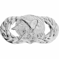 Buy ✨ Vanguard Air Force Basic Supply And Fuels Badge, Mirror Finish, Regular Size 🔔