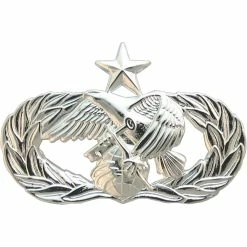 Best deal 😉 Other Brands Air Force Senior Logistics Readiness Badge, Mirror Finish, Regular Size 😍