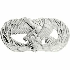 Flash Sale ⭐ Ira Green, Inc Air Force Basic Logistic Readiness Officer Badge 🎁