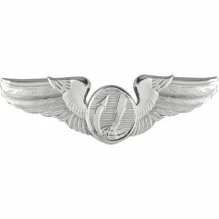 Budget 💯 Other Brands Air Force Basic Remotely Piloted Aircraft (RPA) Badge, Mirror Finish, Regular Size ✨
