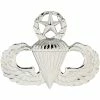 Cheap 🛒 Ira Green, Inc Air Force Master Parachutist Badge Non-Subdued Pin-on, Regular Size ✨