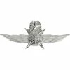 Best Pirce 🧨 Other Brands Air Force Master Cyberspace Operator Badge, Mirror Finish, Midsize 😀 -Military Store unnamed file 589