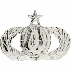 Coupon ✔️ Ira Green, Inc Air Force Badge Band Senior Brite Midsize Pin-on 🛒